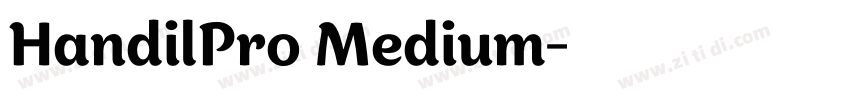 HandilPro Medium字体转换